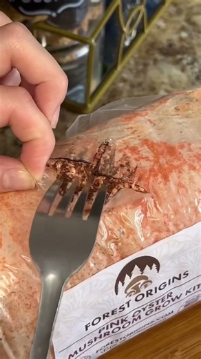 The way mushrooms grow feels like pure magic.