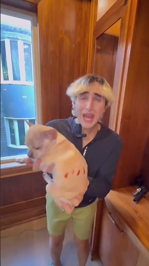 OUR DOG SURROUNDED BY WOLVES! 😭🐺