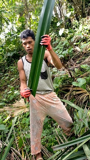 Archie Vlog on Reels