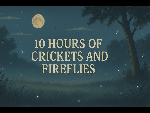 10 Hours of Crickets and Fireflies in Spring (Noise Machine)