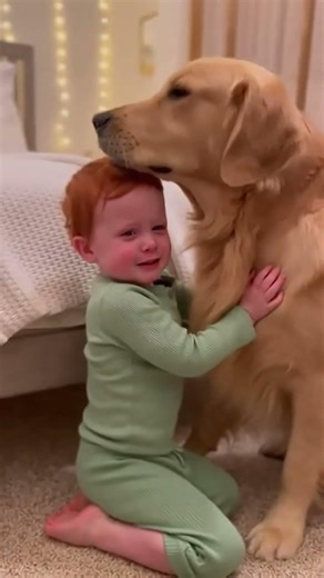Toddler’s Bedtime Prayer Ends with Dog Hug 😭🐶