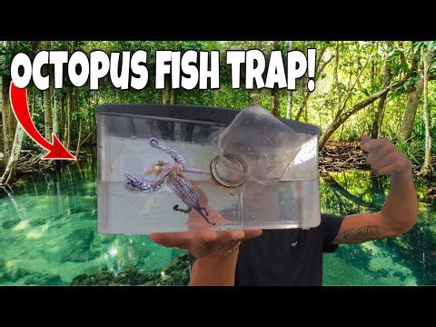 FISH TRAP Catches EXOTIC OCTOPUS For My AQUAIRUM!!