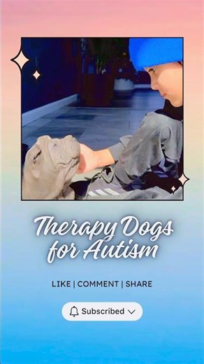 How Dogs Changed My Autistic Son’s Life | Shar Pei Story of Love & Growth