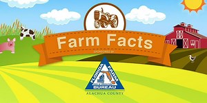 Farm fact: Agricultural aircrafts