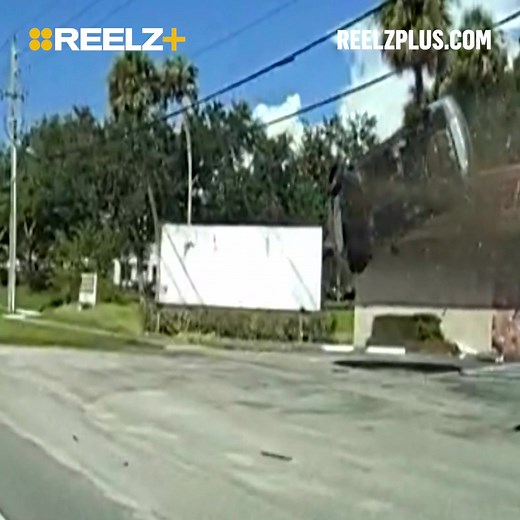 2.6K views · 1K reactions | Stream On Patrol: Live now! Get an exclusive look at real-time police activity on REELZ+. | REELZ+ | Facebook