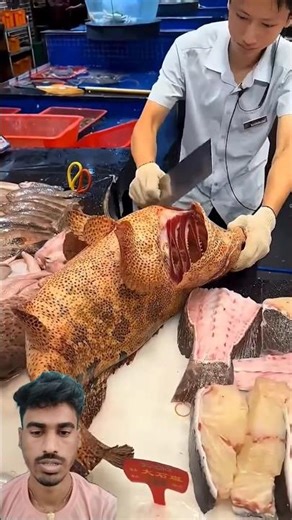 World’s Biggest Grouper Fish Cutting 😱 | Giant Sea Fish ASMR | Luxury Seafood Market