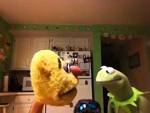 Fozzie and Kermit