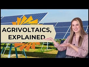 Agrivoltaics: Do Solar Farms REALLY Benefit Farmers? How Agrivoltaics Farms Works