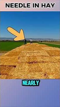 Is It Really Impossible to Find a Needle in a Haystack?