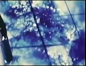 The Aliens Among Us : Documentary on Aliens On Earth (Full Documentary)