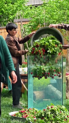 Delicious Family Cooking Recipes to Try Together