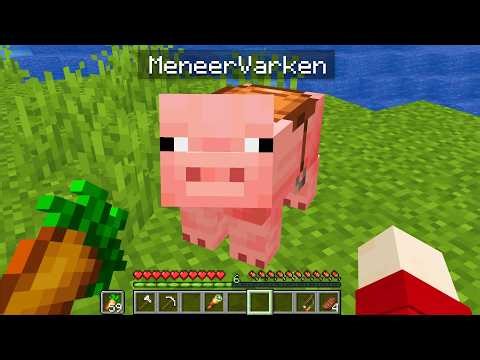 I found Mr. Pig again!