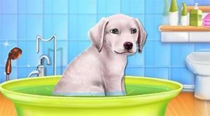 Labrador Puppy Day Care | Online hra zdarma | Superhry.cz