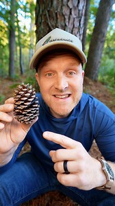 There’s hidden math inside every pine cone — the same pattern found in flowers, seashells, and even galaxies. 🌲✨ It’s called the Fibonacci sequence, a series of numbers where each one is the sum of the two before it: 0, 1, 1, 2, 3, 5, 8, 13… As plants grow, new parts form at the golden angle — about 137.5° from the previous one — spacing each scale, petal, or seed just far enough apart for maximum efficiency and light. In pine cones, that creates interlocking spirals of Fibonacci numbers like 8