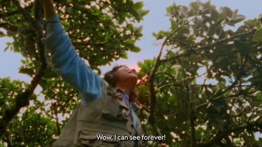 We’re thrilled to announce that famed forest canopy researcher Nalini Nadkarni has been appointed as a National Geographic Explorer at Large! Known as the “Queen of the Forest Canopy,” Nadkarni has pioneered canopy access techniques to study the plants, animals, and microbes that live in the tropical and temperate rainforest treetops in Costa Rica and Washington State. She is also the subject of an award-winning, Oscar®-qualified documentary short titled "Between Earth & Sky," seen in part here.