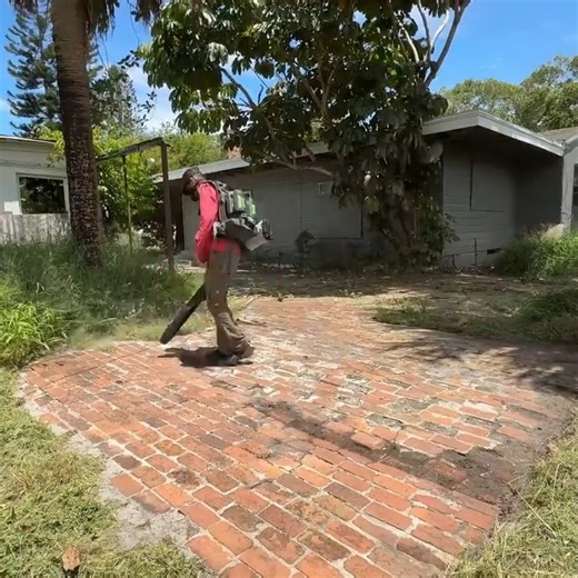 Mowing the Lawn in This Yard Turns Into a Mess! | Life with Al Bladez