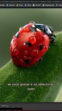 ADEUS GOOGLE IMAGENS! CONHEÇA O #yandex