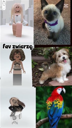 trendd ib:Moon_girls #wybijesię #nwm