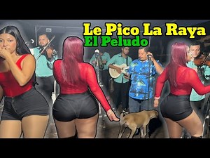 The Pirulino Pecked The Ray and The Peludo Live Guanacos of the East