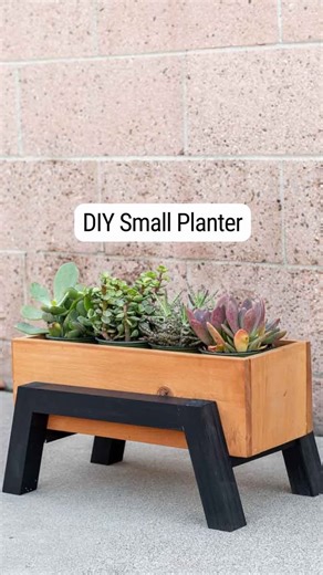 DIY Modern Planter 🪴 Super easy to build in under 30 minutes (not including sanding and finish) It makes a great centerpiece, too! 👉🏼 comment “plans” to get the direct link via DM for this planter. #woodworkingplans #diyplanter #diygifts #diyoutdoorprojects #woodworkingwoman #giftsforplantlovers #woodworkingproject #woodworkingtips | The DIY Life with Anika