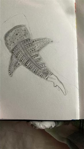 Whale shark drawing #art