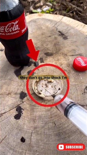 Coke vs Maggots Who Wins?😳 #shorts #viral #experiment #ytshorts @jacozincavalcante (ig)