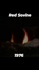 233 reactions · 131 shares | "Teddy Bear" by Red Sovine.. Performed on Hee Haw in 1976... #countrymusic | Travis Chumley | Facebook