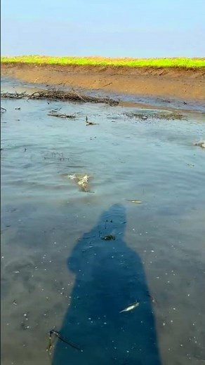 "Epic Fishing Adventures: Unbelievable Moments Caught on Camera! | Amazing Fishing Video" #amazing