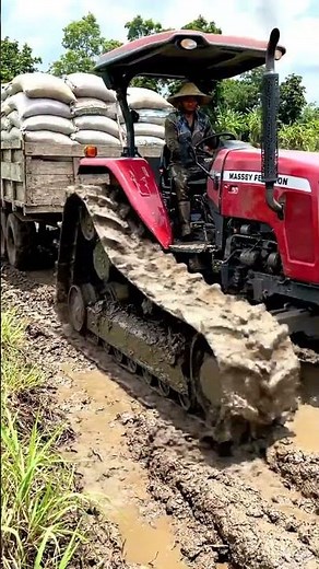 Mud Power Legend! 🚜 Massey Ferguson Tractor Conquers Deep Mud! 💥🌾 #shorts #tractorvideo