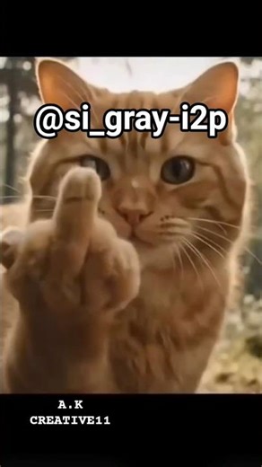 @si_gray-i2p 👎👎