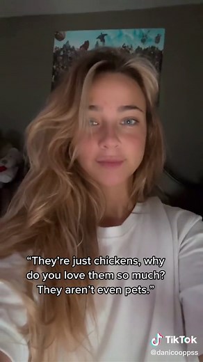 I have so many videos of them, they all have their own lil personalities 😭 #fyp #silkiechicken #silkiesoftiktok #farmgirl #fakebody