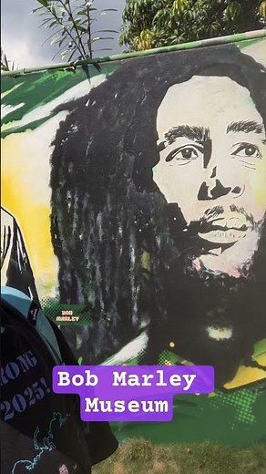 Jamaica Highlights!! From Bob Marley Museum to Dunn's River Falls!!