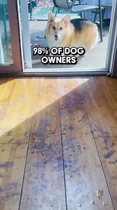 925K views · 14 reactions | Tired Of Pets Dragging Dirt and Mud Inside The Home?  The Muddy Mat Is Perfect For Pets With Dirty Paws 70% OFF For a Limited Time! | Muddy Mat | Facebook