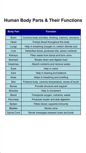 HUMAN BODY PARTS AND THEIR FUNCTIONS