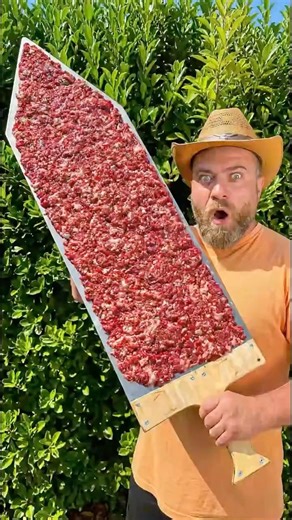 Lula Kebab #food #cooking #kebab