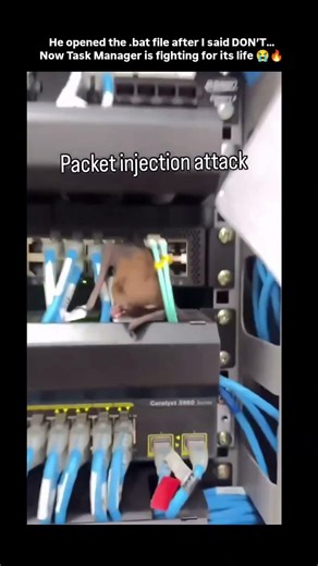 I Told Him NOT to Open the .bat File 😂💀 #memes #ai #tech #meme #explore