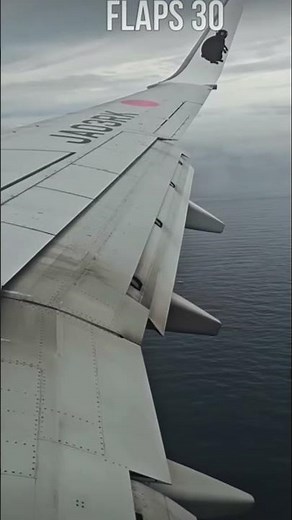 Airbus A380 Landing! Incredible Cockpit View of a Superjumbo Arrival