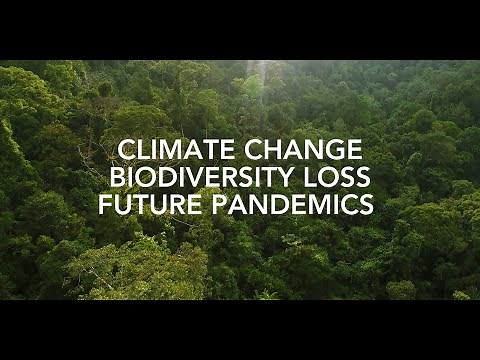 Nature-based Solutions to Climate, Biodiversity, and Pandemic Threats