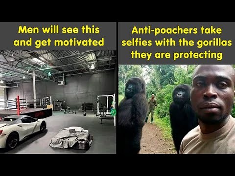 The Ultimate Boredom Cure: Funny Memes & Posts You’ll Love 🤩😂 | Humor Sweet