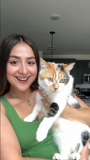 Turning a CAT into a magnet?!😳