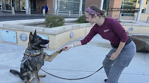 Colorado hospital hires K9 teams for safety, comfort