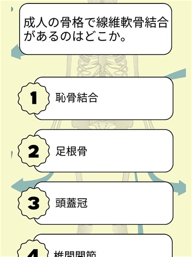 成人の骨格で線維軟骨結合があるのはどれか。 #国家試験 #理学療法士 #看護学生 #医療学生 #生理学 #鍼灸師 #解剖学 #からだnavi #看護師国家試験 #柔道整復師 #解剖生理学