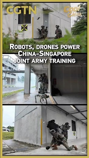 Robots, drones power China-Singapore joint army training