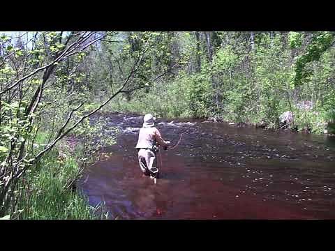 Fly Fishing the Ford River, MI UP
