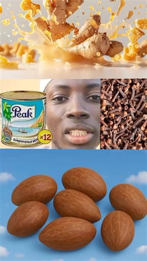 Exploring Islamic Herbal Medicine in Nigeria