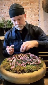 536 reactions · 20 comments | RED FORWARD• mash up with red anemone as our main focal … creating a textural moment of pure bliss #share #floraldesign #2025 #flowerman #red #vday #forward #design #designer #freshflowers #moodbooster | epoch.floral | Facebook