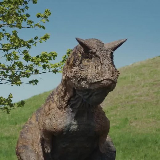 In the age of dinosaurs, the concept of hierarchy wasn’t too different from today's animal kingdom. The powerful ruled—the towering predators like Tyrannosaurus Rex claimed dominance at the top of the food chain, while smaller herbivores, like the Triceratops, found their niche in numbers and strength in herds. Survival was a constant balancing act between strength, strategy, and sometimes luck. From the swift Velociraptors, known for their intelligence and pack hunting, to the gentle giants lik