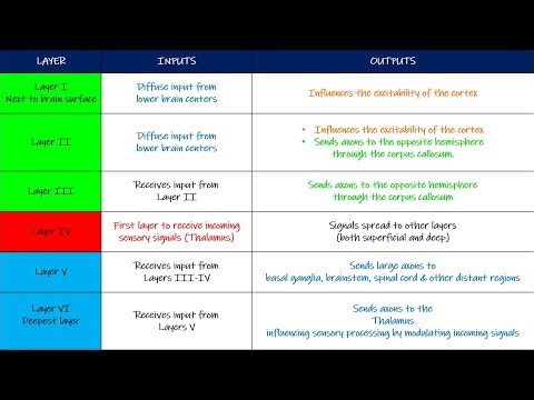 Layers of sensory cortex, 2 point tactile discrimination, Lateral Inhibition. Guyton and Hall Physio
