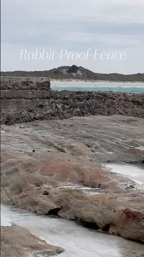 Rabbit Proof Fence #travellingaustralia