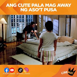 🎥: Till There Was You Panoorin ang #CineMo sa: 📺: SkyCable Channel 7 📺: GSat Channel 13 📺: Cignal Channel 43 📺: Sinag Cable Channel 14 📺: Cablelink Channel 14 📺: Vision Channel 94 | CineMo